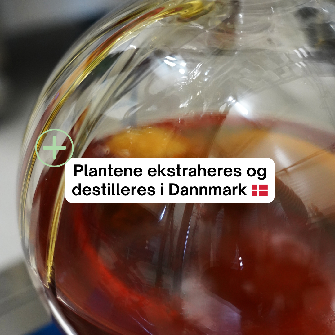 Premium CBD-olje – alle varianter
